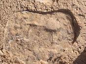 Tunisie antique trouvailles archéologiques rupestres