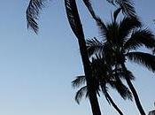 Bonne année 2012 tous expats