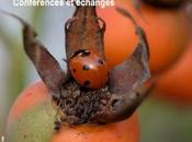 Trois villes françaises vont "Jardiner autrement" février prochain