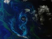 [Image jour] Entrelacs phytoplancton dans l’océan atlantique