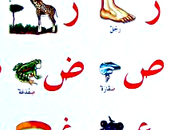 Cours d'arabe: essentiel bases communication