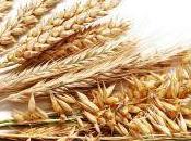 Quel boîte céréales choisir pour maigrir?