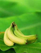 bananes chlordécone: quand l'Etat "déconne"