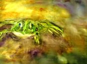 Froggy l’évanescente Aquarelle