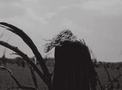 Vendredi inspiration Lauren Withrow