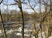 Promenade bord moselle