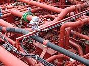 complexité l'évaluation culturel candidat