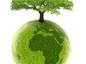 arbres plantés collège Gustave-Courbet Romainville