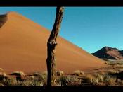 Namibia Desert Dreams