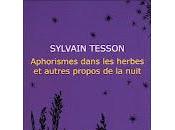 Sylvain Tesson Aphorismes dans herbes autres propos nuit