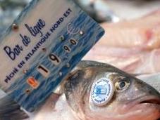 nouvel écolabel français pour pêche durable