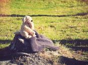 Coup coeur Peace&amp;Wool; (cadeaux inside)