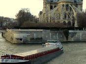 Encore quelques jours attendre printemps