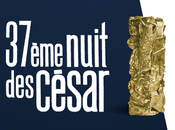 palmarès complet Césars 2012