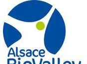 Alsace BioValley amplifie action bénéfice entreprises laboratoires alsaciens filière Sciences Vie-Santé