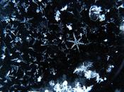 Snowflakes Flocons