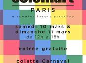 Solemart Paris Colette Carnaval