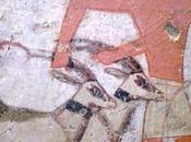 Salle vitrine peintures mastaba metchetchi raisons sacrifice l'oryx dans rites égyptiens