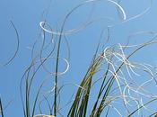 Journée type d'un jeune dans société utopiste...