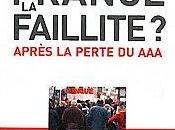 France, Faillite Après perte Philippe HERLIN
