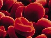 Comprendre résultats globules rouges dans prise sang.