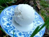 Express Coconut Ice-cream