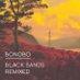 "Black Sands Remixed" Bonobo
