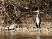 Sortie dans Gorges l’Areuse…