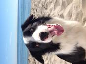 Quelques photos prises avec nouvel iPad