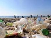 L'ONG Surfrider appelle &agrave; nettoyer plages rivi&amp;egrave;res mars