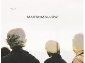 Marshmallow chantier Francofolies (01/12) #Photos