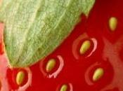 DÉCLIN COGNITIF: Baies fruits rouges pour garder mémoire vive Journal Agricultural Food Chemistry