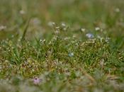 printemps arrive Auvergne