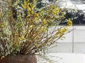 Comment printemps arrive Corée