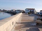 Trail vignes dans l’ile petit doux mémoire (2/3)