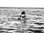 éTRANGE POiNT FiXATiON. Vincent Delhomme