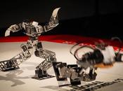 Robo-One tournament duel mini robots humanoïdes