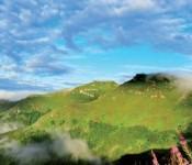 Tourisme belle année 2011 Auvergne