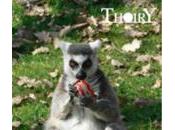 Pour ENFANTS MAIS AUSSI POUR ANIMAUX THOIRY FAIT AUJOURDHUI.