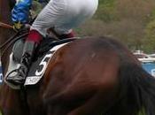 Prix Harcourt, Force 2012