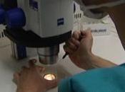 France 3.fr, nous apprend premier bébé après vitrification...