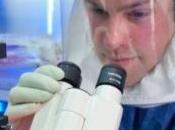 SUPERVIRUS H5N1: Pays-Bas autorisent diffusion travaux Nature Blog