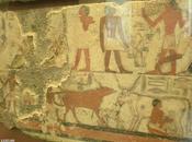 Salle vitrine peintures mastaba metchetchi vache vêla