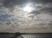 L'AiR ENCADRé. Chloé D'Aniello