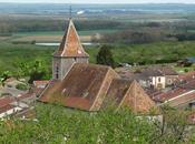 Lucey-Village viticole Toulois