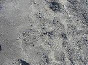 Santorin (Chapitre plage sable noir Périssa)