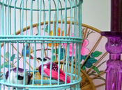 mood cage oiseaux bohème