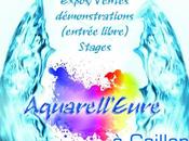 3ème Salon d’Aquarell’Eure 2012 Gaillon
