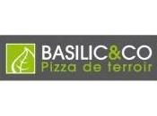 Basilic gastronomie respect l’environnement réunis.