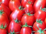 Coulis tomates